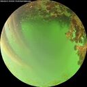 ./images/calvert/underwater/20260621/underwater20260621_192501M.jpg
