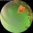 ./images/calvert/underwater/20260621/underwater20260621_195501M.jpg