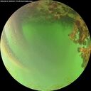 ./images/calvert/underwater/20260621/underwater20260621_200501M.jpg