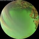 ./images/calvert/underwater/20260621/underwater20260621_202501M.jpg