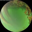 ./images/calvert/underwater/20260621/underwater20260621_204002M.jpg