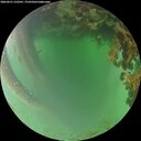 ./images/calvert/underwater/20260621/underwater20260621_210501M.jpg