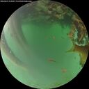 ./images/calvert/underwater/20260621/underwater20260621_212002M.jpg