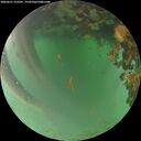 ./images/calvert/underwater/20260621/underwater20260621_212501M.jpg