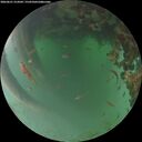 ./images/calvert/underwater/20260621/underwater20260621_214501M.jpg