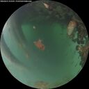 ./images/calvert/underwater/20260621/underwater20260621_215501M.jpg