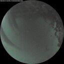 ./images/calvert/underwater/20260621/underwater20260621_222502M.jpg