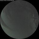 ./images/calvert/underwater/20260621/underwater20260621_223501M.jpg