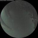 ./images/calvert/underwater/20260622/underwater20260622_044001M.jpg