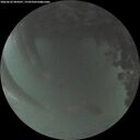 ./images/calvert/underwater/20260622/underwater20260622_044501M.jpg