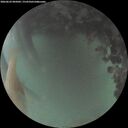 ./images/calvert/underwater/20260622/underwater20260622_045001M.jpg