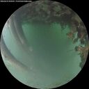 ./images/calvert/underwater/20260622/underwater20260622_050501M.jpg
