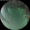 ./images/calvert/underwater/20260622/underwater20260622_051001M.jpg