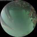 ./images/calvert/underwater/20260622/underwater20260622_051502M.jpg