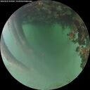 ./images/calvert/underwater/20260622/underwater20260622_052002M.jpg