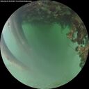 ./images/calvert/underwater/20260622/underwater20260622_052501M.jpg