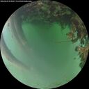 ./images/calvert/underwater/20260622/underwater20260622_053001M.jpg