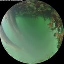 ./images/calvert/underwater/20260622/underwater20260622_053501M.jpg