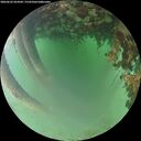 ./images/calvert/underwater/20260622/underwater20260622_054501M.jpg