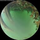 ./images/calvert/underwater/20260622/underwater20260622_055001M.jpg