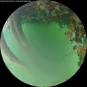 ./images/calvert/underwater/20260622/underwater20260622_055501M.jpg