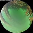 ./images/calvert/underwater/20260622/underwater20260622_061001M.jpg