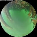 ./images/calvert/underwater/20260622/underwater20260622_061501M.jpg