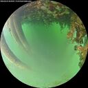./images/calvert/underwater/20260622/underwater20260622_062001M.jpg