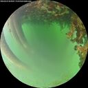 ./images/calvert/underwater/20260622/underwater20260622_063002M.jpg