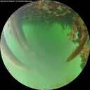 ./images/calvert/underwater/20260622/underwater20260622_064001M.jpg