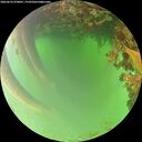 ./images/calvert/underwater/20260622/underwater20260622_070001M.jpg