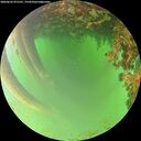 ./images/calvert/underwater/20260622/underwater20260622_071501M.jpg