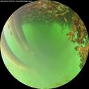 ./images/calvert/underwater/20260622/underwater20260622_072501M.jpg