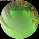 ./images/calvert/underwater/20260622/underwater20260622_075001M.jpg