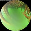 ./images/calvert/underwater/20260622/underwater20260622_075501M.jpg