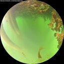 ./images/calvert/underwater/20260622/underwater20260622_085001M.jpg