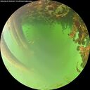 ./images/calvert/underwater/20260622/underwater20260622_090501M.jpg