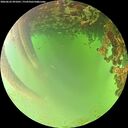 ./images/calvert/underwater/20260622/underwater20260622_091001M.jpg