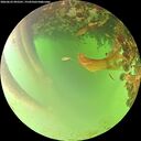 ./images/calvert/underwater/20260622/underwater20260622_092501M.jpg