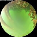 ./images/calvert/underwater/20260622/underwater20260622_093001M.jpg