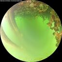 ./images/calvert/underwater/20260622/underwater20260622_094001M.jpg