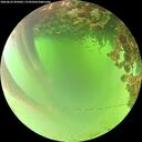 ./images/calvert/underwater/20260622/underwater20260622_095001M.jpg
