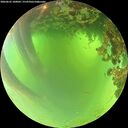 ./images/calvert/underwater/20260622/underwater20260622_100002M.jpg