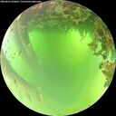 ./images/calvert/underwater/20260622/underwater20260622_102001M.jpg