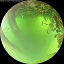 ./images/calvert/underwater/20260622/underwater20260622_102501M.jpg