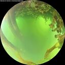 ./images/calvert/underwater/20260622/underwater20260622_103501M.jpg