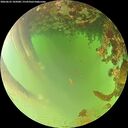 ./images/calvert/underwater/20260622/underwater20260622_105001M.jpg