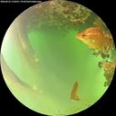 ./images/calvert/underwater/20260622/underwater20260622_110501M.jpg
