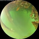 ./images/calvert/underwater/20260622/underwater20260622_111501M.jpg