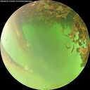 ./images/calvert/underwater/20260622/underwater20260622_112502M.jpg